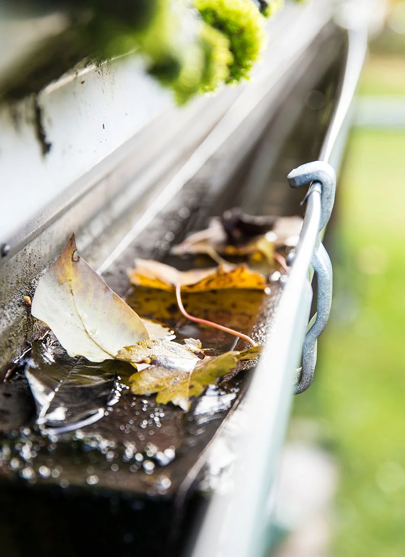 singinginthedrains-gutter clearance-001