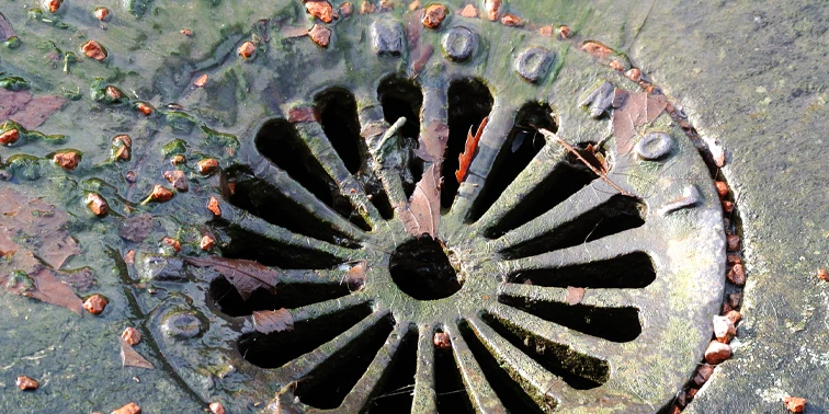 Drain - Singing in the drains